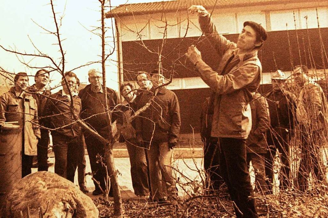 Gärtnermeister Josef Schweitzer gab 1984  Tipps zum  Obstbaumschnitt.  | Foto: Manfred Lange