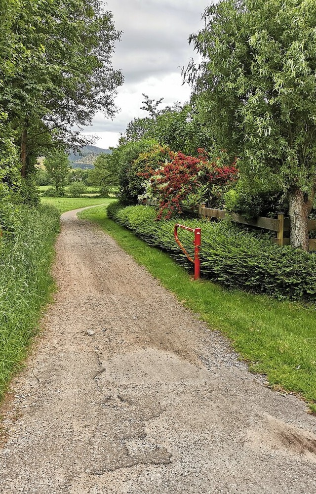 Der Radweg vom Stollen nach Gutach von der Tankstelle aus gesehen.  | Foto: Dorothea Scherle