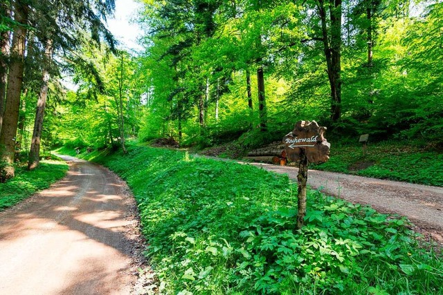 Eine Bestattung in der Natur &#8211; das bietet der Ruhewald in Wittnau.  | Foto: Timo Drr