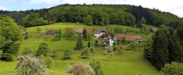 Auch im kleinsten Ortsteil der Gemeind... geringe - Entwicklungsmglichkeiten.   | Foto: Rolf-Dieter Kanmacher