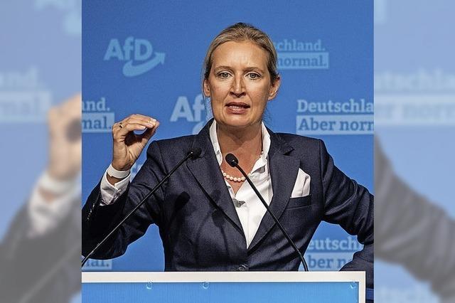 Weidel gibt AfD-Landesvorsitz ab
