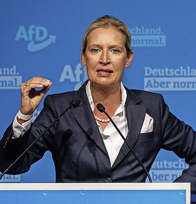 Alice Weidel knnte, so wird spekuliert, AfD-Bundessprecherin werden wollen.  | Foto: Christoph Schmidt (dpa)