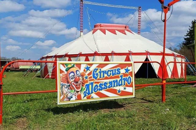 Der Circus Alessandro sucht nach Unfall in Kirchhofen eine Bleibe