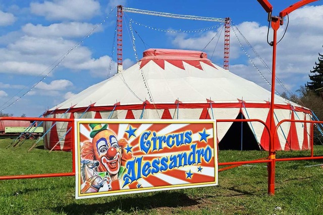 Seit Mai ist der Circus Alessandro in Kirchhofen zu Gast.  | Foto: Kim Stoehr