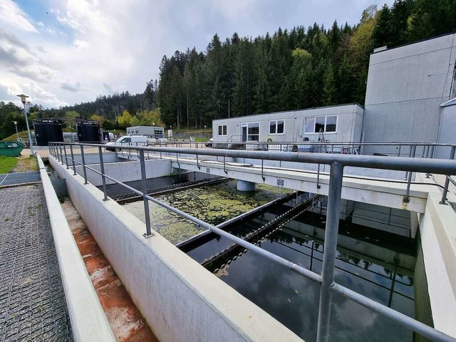 Die neue Hecke soll Anwohner vor den Gerchen der Klranlage schtzen.  | Foto: Nadine Klossek-Lais