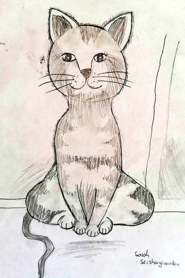 Eine Katze gezeichnet von  Sarah Srish...in der Klasse 4 der Grundschule Wasser  | Foto: privat