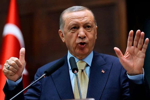 Recep Tayyip Erdogan – der Polterer aus Ankara