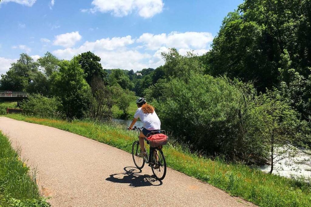 Radfahren auf dem Damm der Wiese kann ... Die IG Velo jedenfalls ist skeptisch.  | Foto: Willi Adam