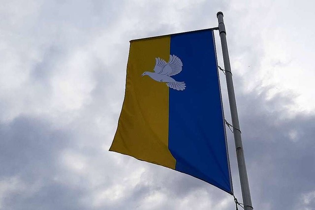 Als Zeichen der Solidaritt mit der Ukraine wehen in Grenzach-Wyhlen Flaggen.  | Foto: Erika Bader