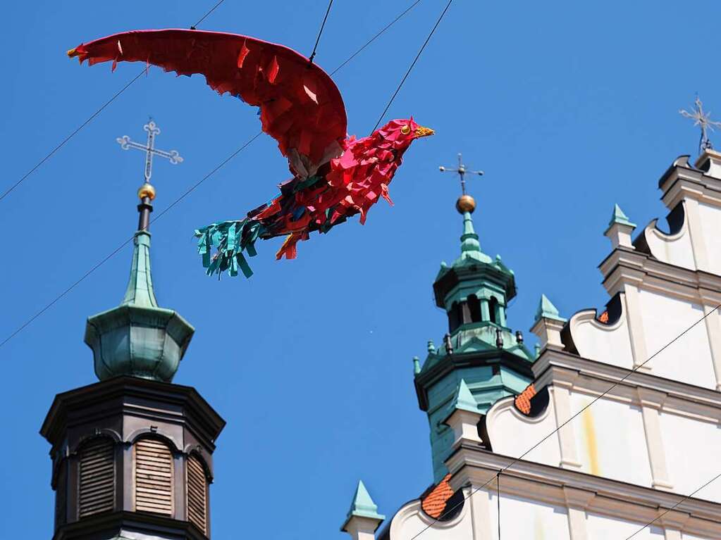 Derzeit gibt es riesige Kunstinstallationen in der Altstadt von Lublin.