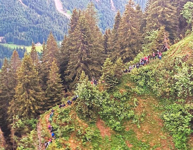 Die Gruppe bei der Rettung am Hang in den Alpen  | Foto: -- (dpa)