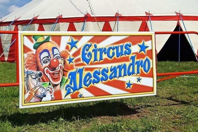Circus Alessandro zieht nach Unfall um von Kirchhofen nach Breisach