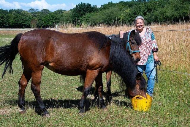 Schwerer Fall von Tierqulerei: Tierschutzverein rettet zwei Ponys in Bad Bellingen