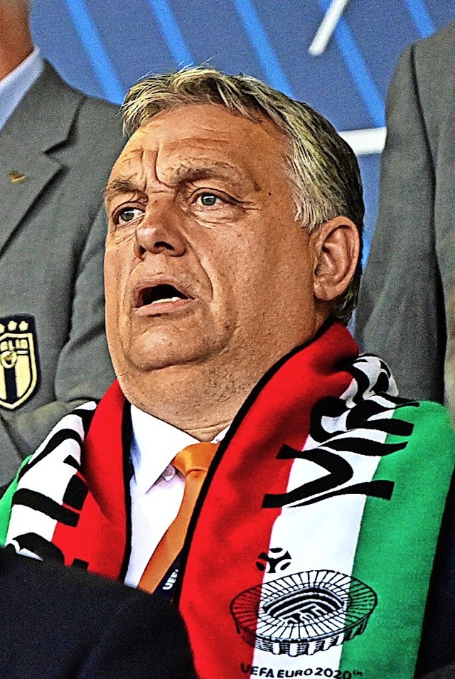 Viktor Orban auf der Tribne beim Spiel der Nationalelf gegen Italien  | Foto: MIGUEL MEDINA (AFP)