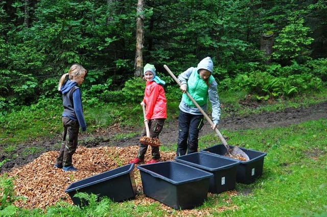 Muskeltraining: Klara, Hanna und Noa (von links) packen fleiig mit an.  | Foto: Sarah Trinler