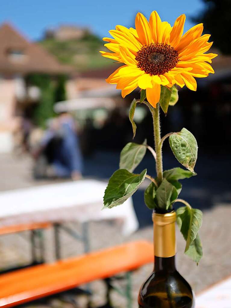 Die passend sonnige  Deko mit Burgblick