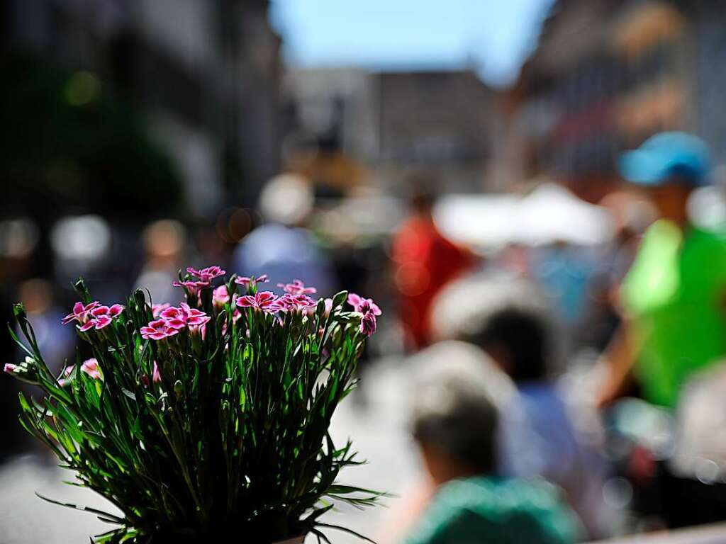 Beim Festival Wein und Musik in der Altstadt von Staufen strahlt die Sonne mit erlebnishungrigen Besuchern um die Wette. Nach langer Live-Auszeit sind auch die Musiker der 15 Bands auf drei Bhnen 