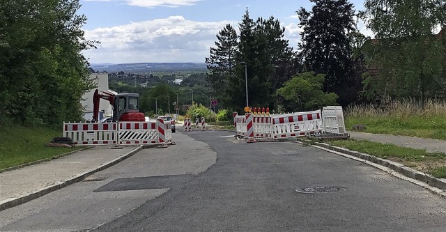 Ein Ende des Hindernisparcours ist in Sicht: Baustelle in der Hertinger Strae  | Foto: Jutta Schtz