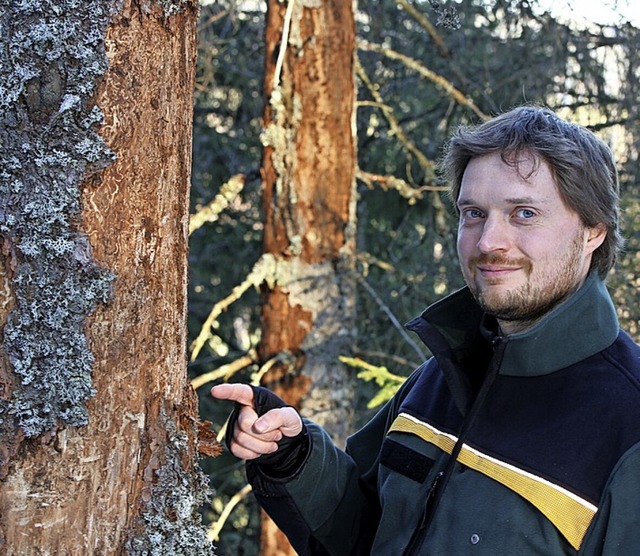 Frster Jens Gttfert zeigt die  Probl...ie sich durch den Borkenkfer ergeben.  | Foto: Haus der Natur