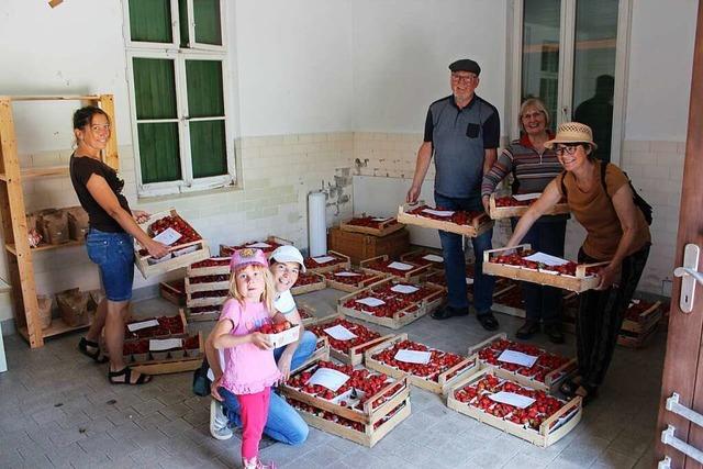 Verein wirbt mit regionalen Erdbeeren fr einen Dorfladen in Dittishausen