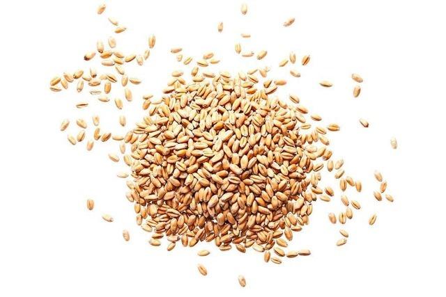 Strkehaltiges Korn: der Weizen