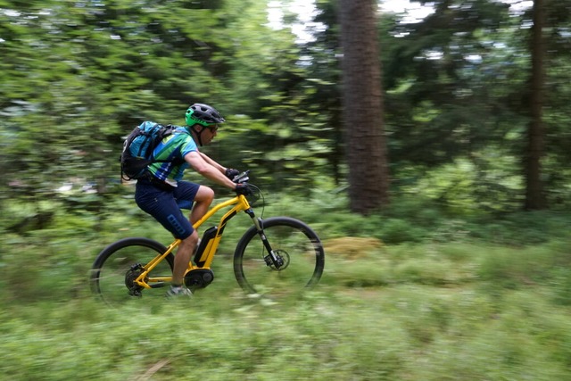 Ein Mountainbiker im Wald. (Themenbild)  | Foto: Stefan Weienborn