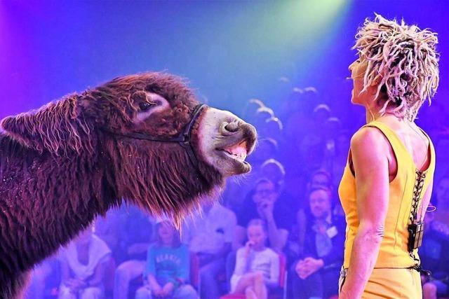Die neue Show des Circus Knie in Basel ist nichts für schwache Nerven