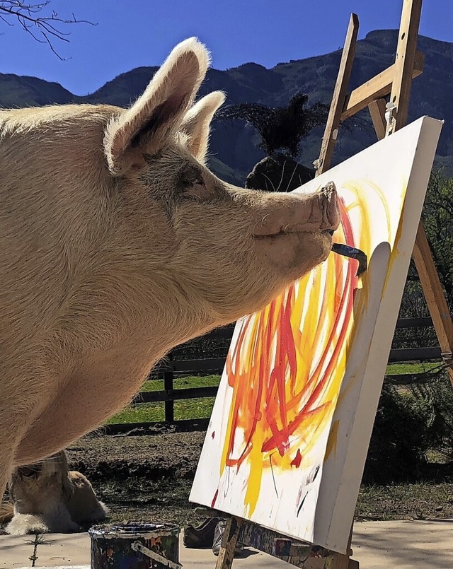 Eine 500 Kilo schwere Knstlerin am Werk. Die Bilder sind sauteuer.  | Foto: Joanne Lefson