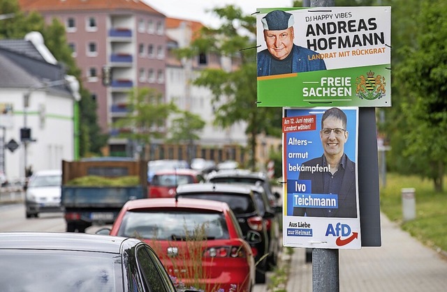 Die AfD blieb bei den Wahlen in Sachsen hinter den Erwartungen zurck.  | Foto: Daniel Schfer (dpa)