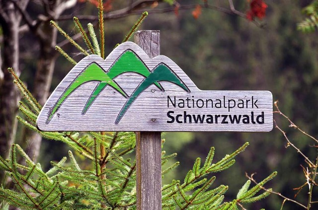 Den Nationalpark Schwarzwald, der 2014... Ansonsten bleibt die Natur unberhrt.  | Foto: Uli Deck (dpa)