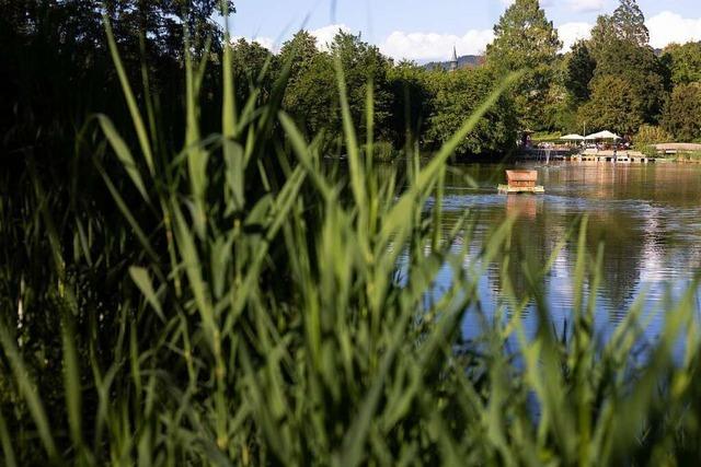 Der Stadtrainsee ist mehr als nur ein See – und hat Waldkirch geprägt