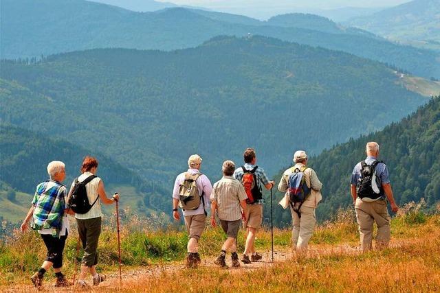 Die Wimpelwanderung der Schwarzwaldvereine findet wieder statt