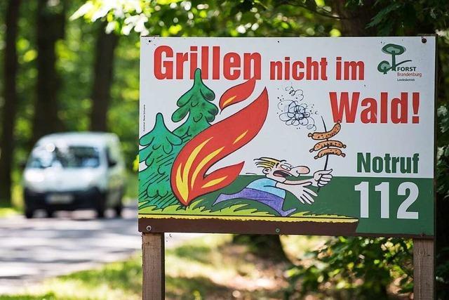 Rekordhitze und Trockenheit in Baden-Wrttemberg – Waldbrandgefahr