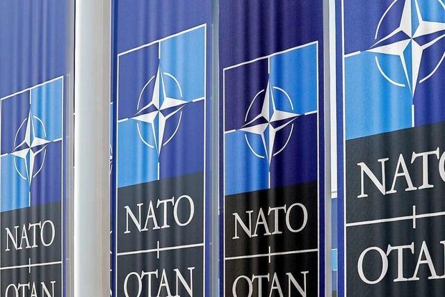 Balten kritisieren deutsches Konzept fr Nato-Ostflanke