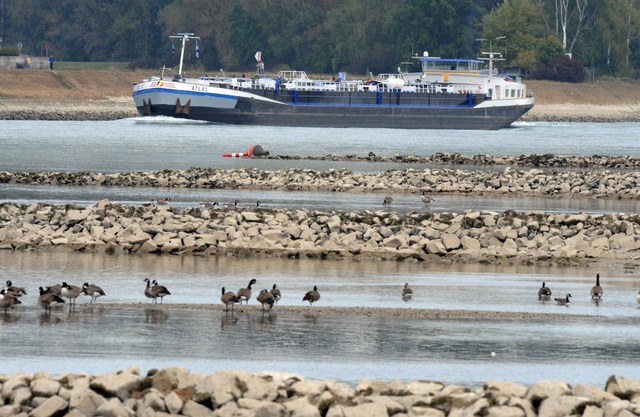 Die Trockenheit fhrt auch zu sinkenden Flusspegeln. (Symbolbild)  | Foto: Uli Deck