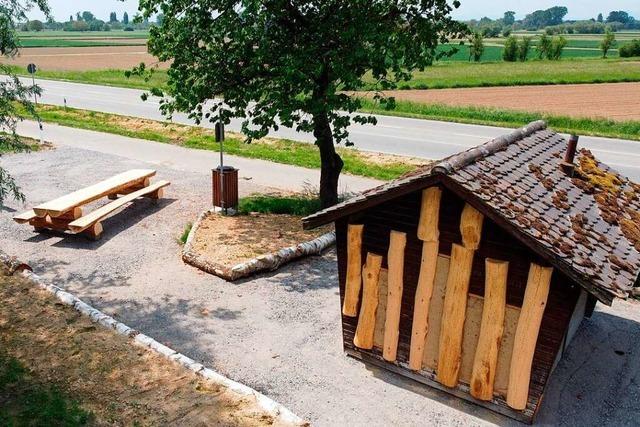 Parkplatz beim Sulzer Kreuz wird ein lauschiges Pltzchen auch fr Insekten und Reptilien