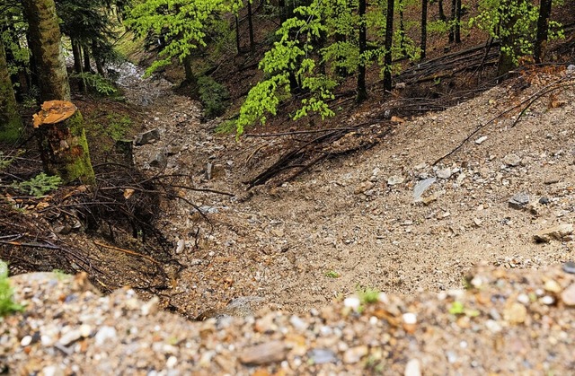 Illegales Schuttabladen im Wald: Die B...hren der Umweltzerstrung einschtzen.  | Foto: Philipp von Ditfurth (dpa)