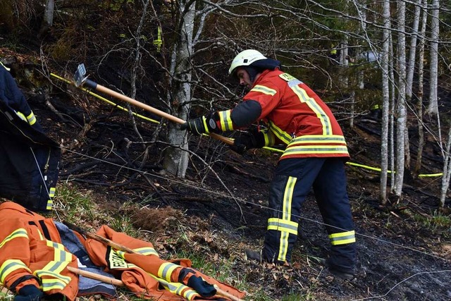 Bei der  Bekmpfung von Wald- und Vege...lburger Feuerwehr kreisweit Vorreiter.  | Foto: Nicolai Kapitz