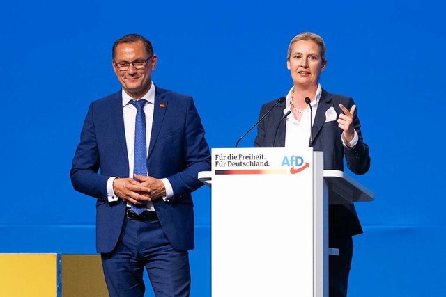 Alice Weidel, Fraktionsvorsitzende der...sitzender der AfD, zu den Delegierten.  | Foto: Sebastian Kahnert (dpa)