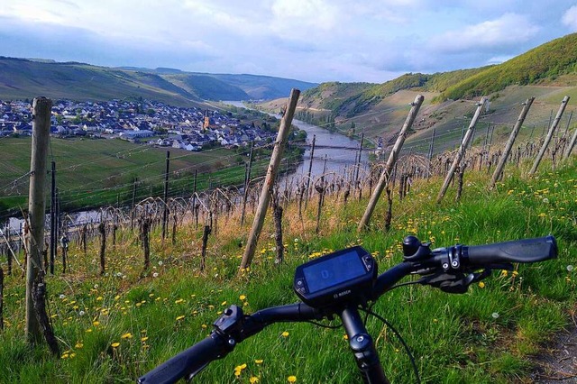 Blick aufs Tal der Mosel im Frhling in den Weinbergen bei Leiwen  | Foto: Andreas Strepenick