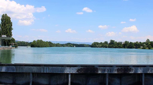 Vom Stauwehr des Kraftwerkes aus lasse...ldete einen mchtigen Korpus im Fluss.  | Foto: Rolf Reimann