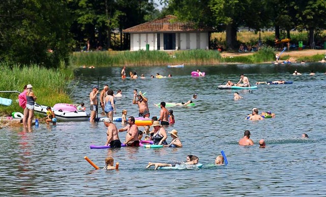 Am Schutterner Baggersee herrschte regen Treiben in khlen Wasser.  | Foto: Wolfgang Knstle