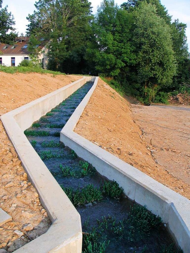 Aufstiegshilfen am Wasserkraftwerk an der ehemaligen Ramie  | Foto: Erhard Schulz