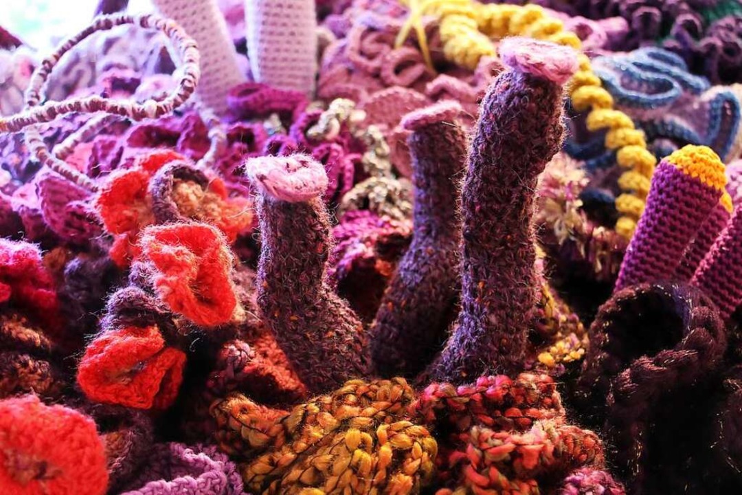 Unzählige gehäkelte Korallen  bilden gemeinsam ein großes Kunstwerk.  | Foto: Ruth Seitz