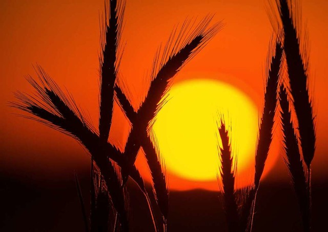 Den Sonnenuntergang genieen: Der 21. Juni ist der lngste Tag des Jahres.  | Foto: Patrick Pleul