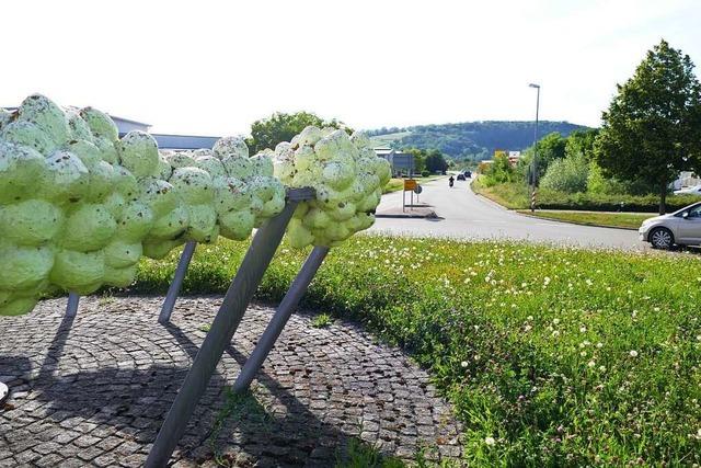 Traubenkunstwerk im Kreisverkehr in Efringen-Kirchen muss wohl weg