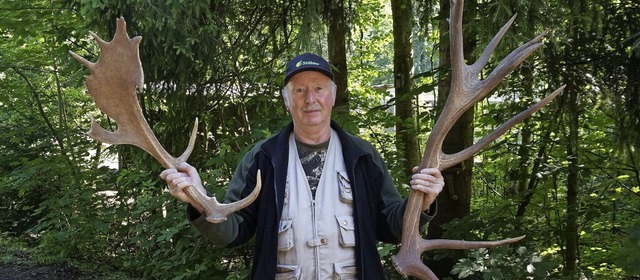 Bei Fhrungen zeigt Wildgehege-Mitarbe...mhirsch-, rechts ein Rothirschgeweih.   | Foto:  Ursula Freudig