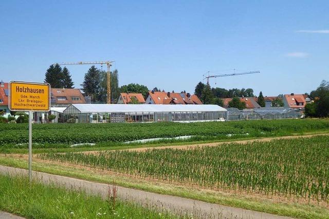 Gewchshuser bei Holzhausen knnten bald Wohnbebauung weichen