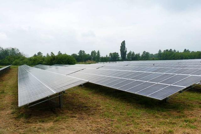 Solarpark Vogtsburg sieht sich auf richtigem Weg