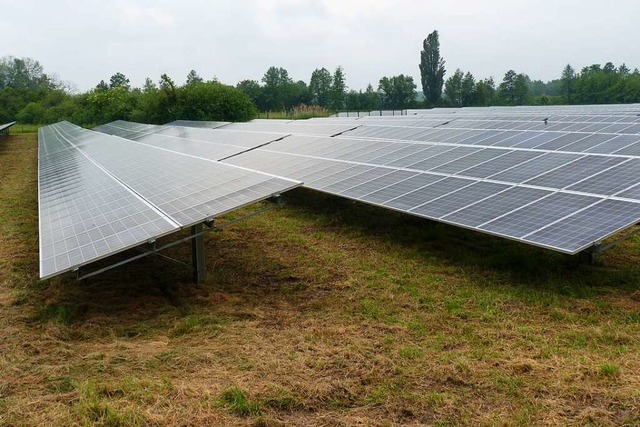 Der Solarpark Vogtsburg erstreckt sich auf rund 14 Hektar.  | Foto: sattelberger
